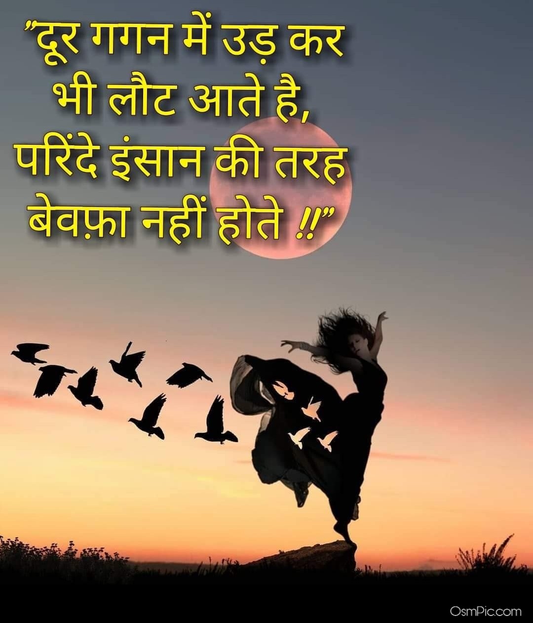 { बेस्ट हिंदी } Hindi Whatsapp Status Images Dp Pic Life, Love, Sad ...