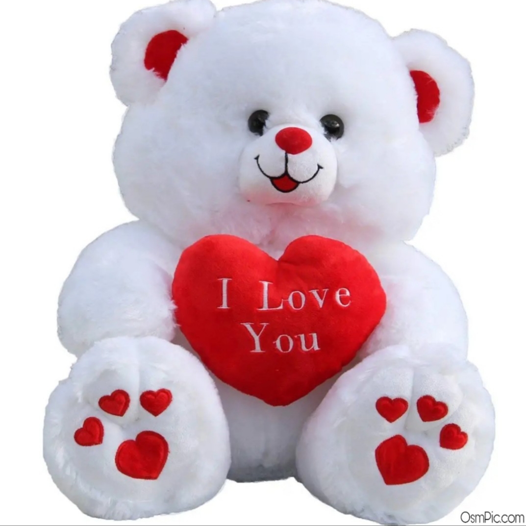 Top 35 Cute Teddy Bear Images With Love For Whatsapp Dp Download