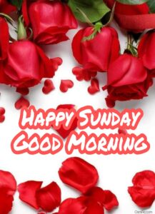 Top 55 Good Morning Happy Sunday Images Hd Pictures For Whatsapp