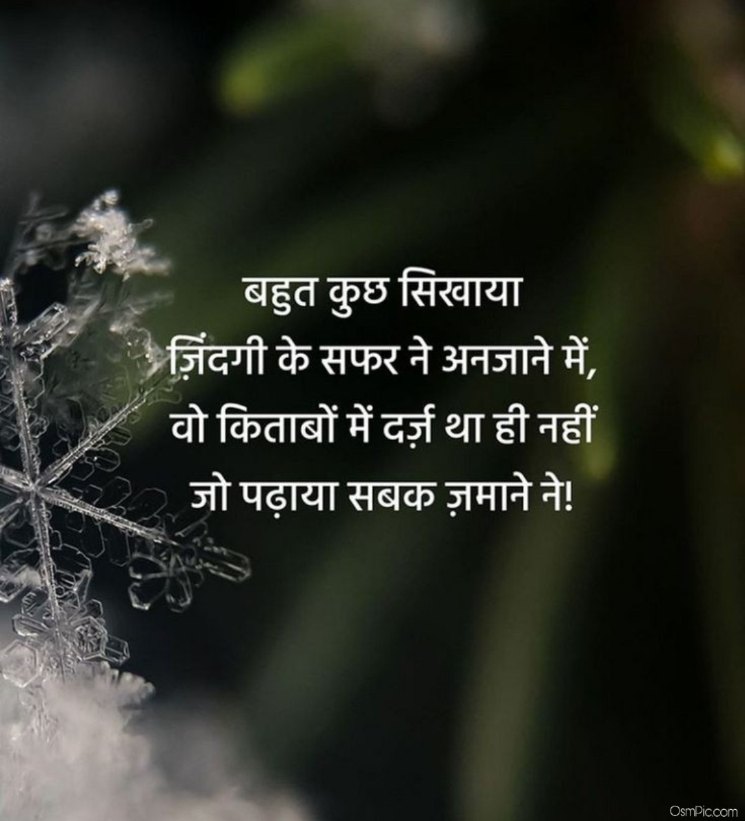 Top 50 Nice Hindi Quotes Images For Whatsapp Profile Picture Download