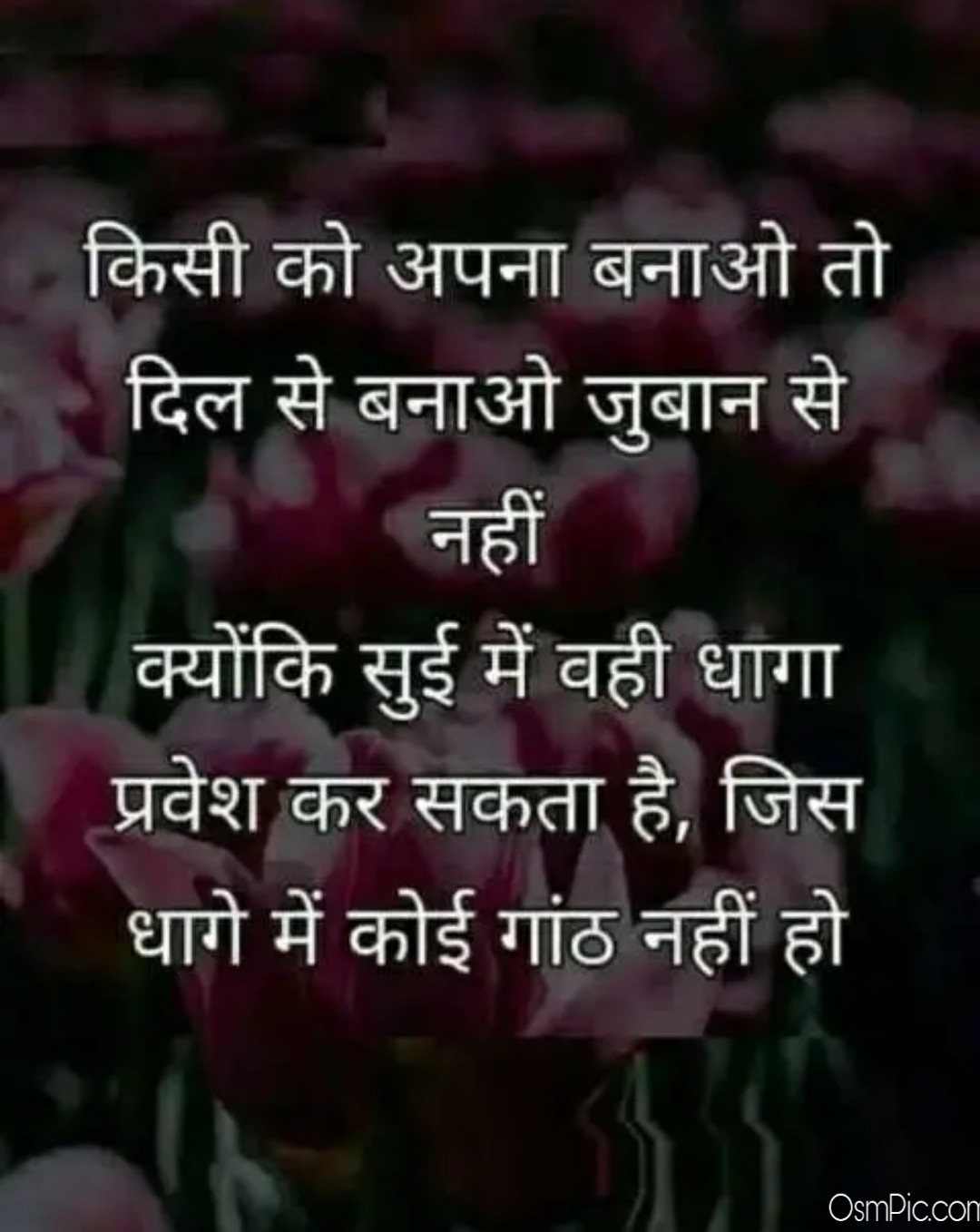 Top 50 Nice Hindi Quotes Images For Whatsapp Profile Picture Download