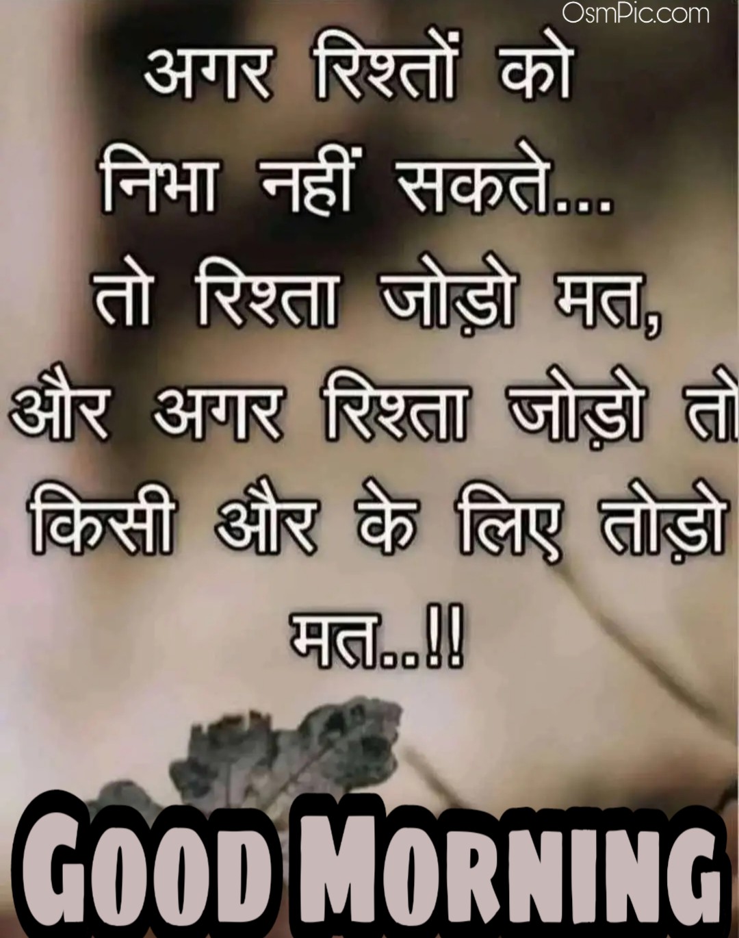 Latest Good Morning Love Images Quotes Status Messages In Hindi