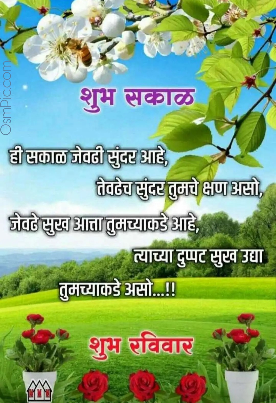 Latest Good Morning Marathi Images Quotes Status Msgs For Whatsapp