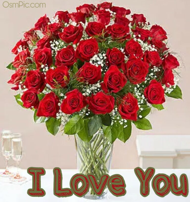 50 Most Beautiful I Love You Roses Images Pics Of Love Roses For Lovers