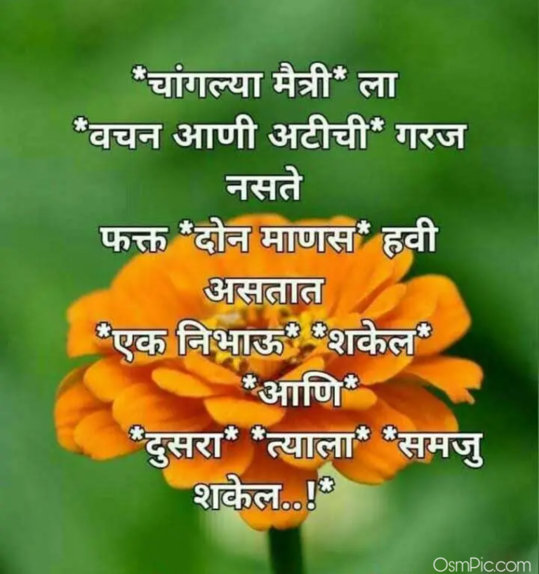 New Marathi Friendship Quotes Images Status With Dosti Shayari Pics