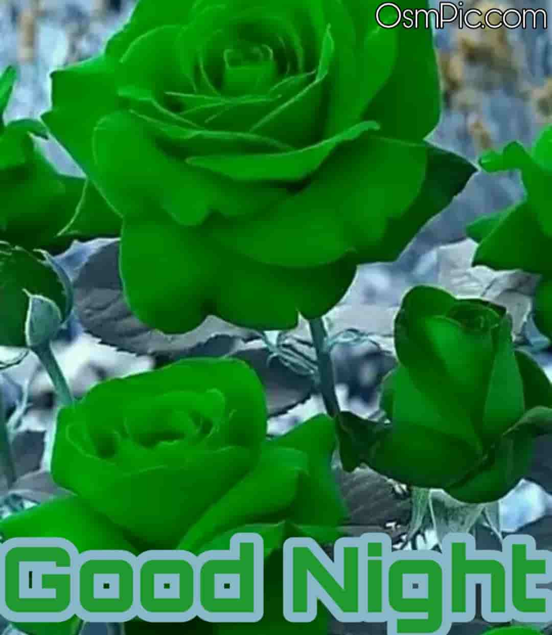 45 Good Night Rose Images Hd Pictures Wallpapers Of Gn Rose Flowers