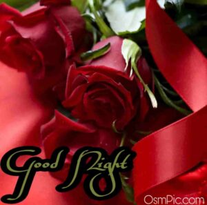 45 Good Night Rose Images Hd Pictures Wallpapers Of Gn Rose Flowers