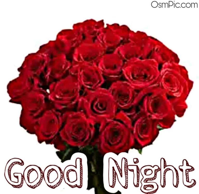 45 Good Night Rose Images Hd Pictures Wallpapers Of Gn Rose Flowers