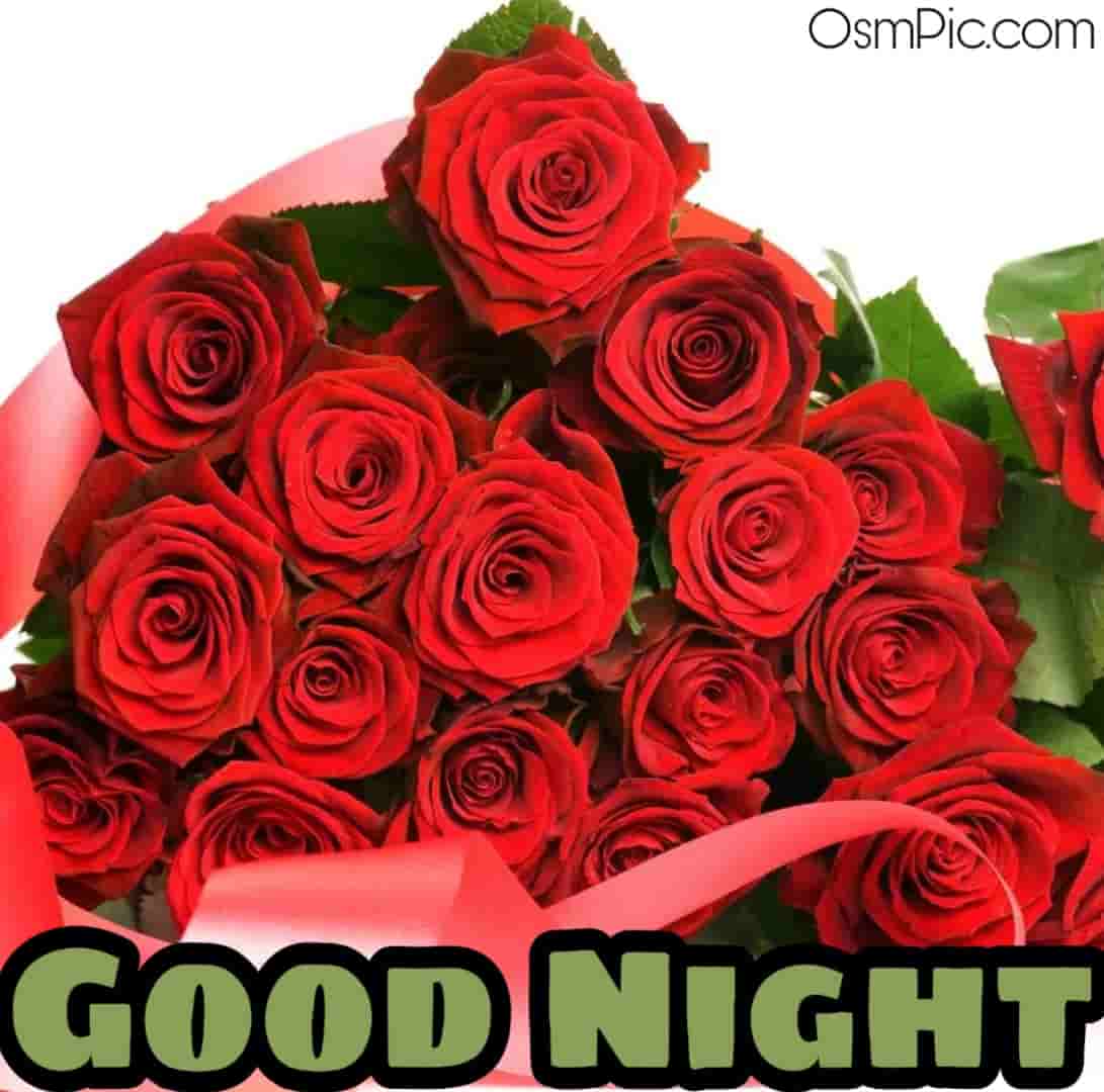 45 Good Night Rose Images Hd Pictures Wallpapers Of Gn Rose Flowers