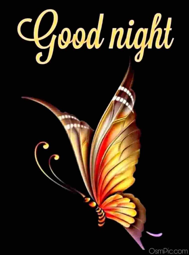New Good Night Images, Photos Free Download For WhatsApp Friends