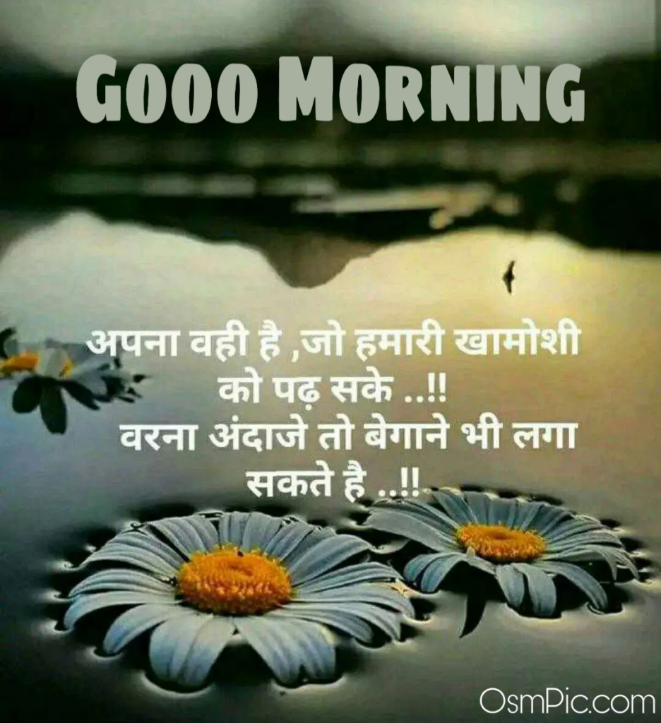 New Good Morning Shayari In Hindi 2023 HD Images गड मरनग शयर