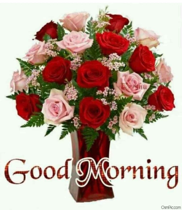 55 Good Morning Rose Flowers Images Pictures With Romantic, Red Roses