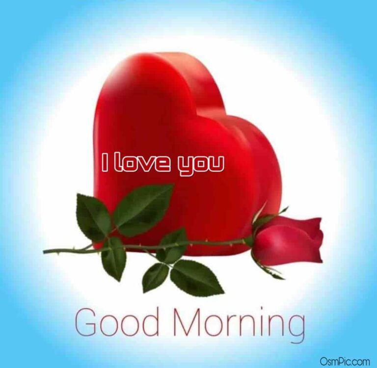 55 Good Morning Rose Flowers Images Pictures With Romantic, Red Roses